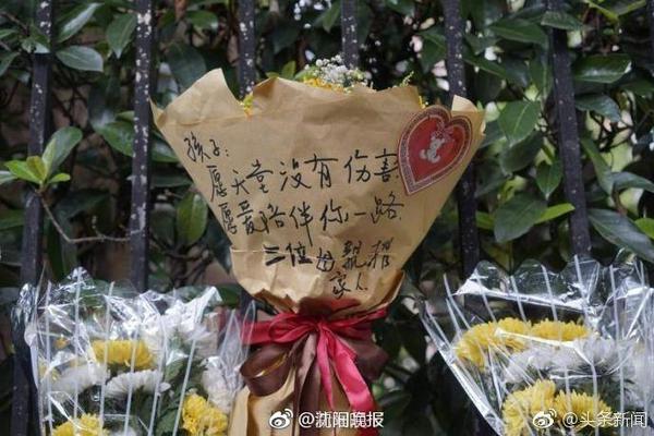 德罗巴的小跟班，在英超当超级替补，在欧冠决赛被抢点球主罚权